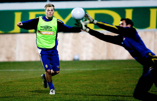 Sebastian Larsson, Sverige