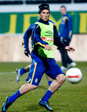 Markus Rosenberg, Sverige