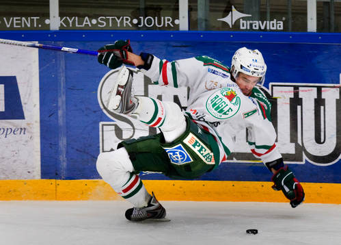 Fredrik Persson, Rögle