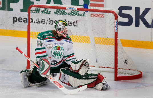 Sebastian Jonsson, Målvakt Rögle