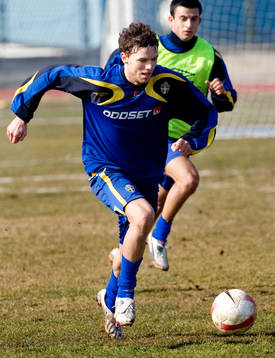 Marcus Berg, Sverige
