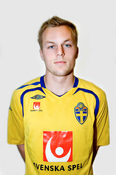 Sebastian Larsson, Sverige
