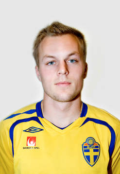Sebastian Larsson, Sverige