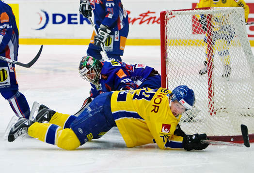 Fredrik Warg, Sverige