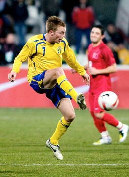 Sebastian Larsson, Sverige