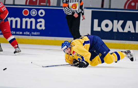Rickard Wallin, Sverige