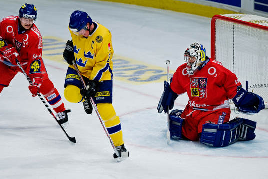 Radek Hamr, Tjeckien, och Milan Hnilicka, målvakt,