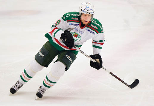 Stefan Erkgärds
