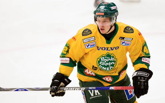 Jon Palmebjörk