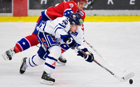 Magnus Hedlund, Leksand