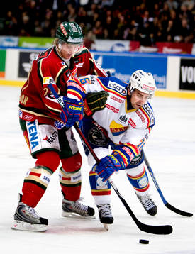 Nichlas Falk, Djurgården