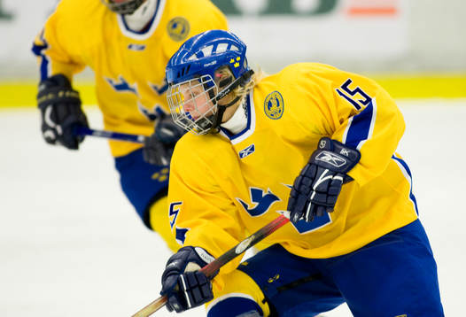 Katarina Timglas, Sverige