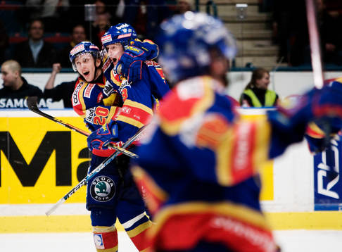 Glatt i Djurgården