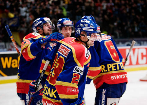 Glatt i Djurgården