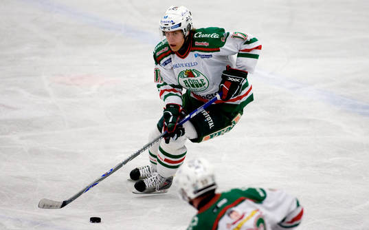 Bläddra bland fler bilder av Ishockey, Allsvenskan, Malmö - Rögle