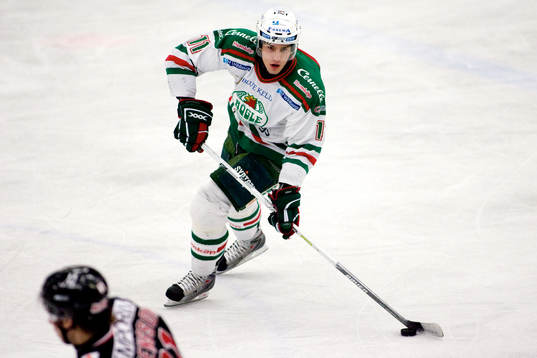 Mattias Sjögren, Rögle