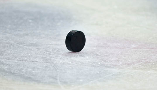 En puck
