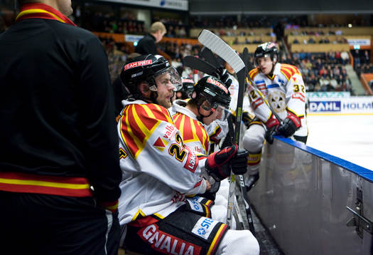 Jörgen Sundqvist, Brynäs