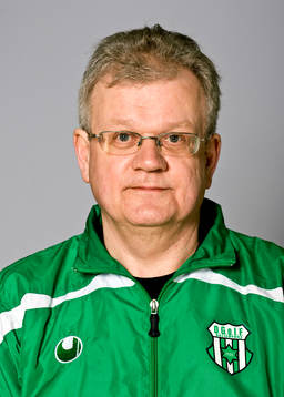 Ingemar Ingemarson, lagledare