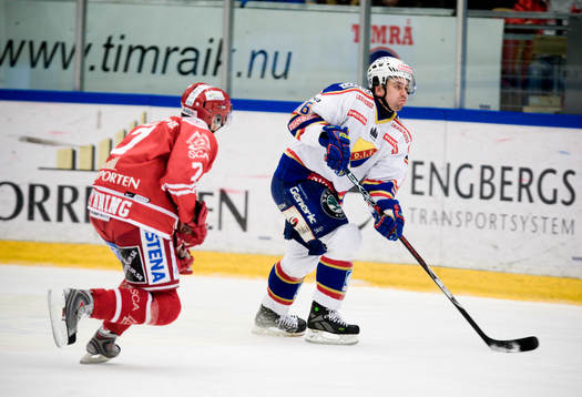 Nichlas Falk, Djurgården och Fredrik Hynning, Timrå