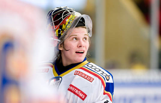 Stefan Ridderwall, Målvakt, Djurgården
