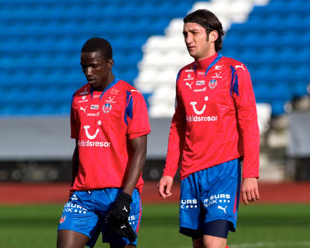 Eldin Adilovic, Helsingborg