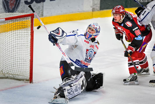Rastislav Stana, målvakt, Linköping, lyckas rädda