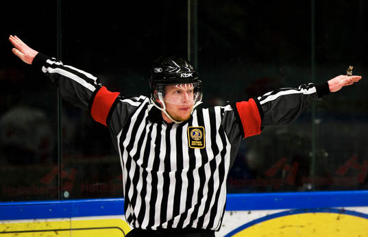 Domare Mikael Holm