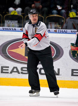 Patrik Sjöberg, domare