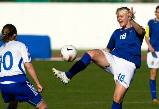 Nilla Fischer, Sverige
