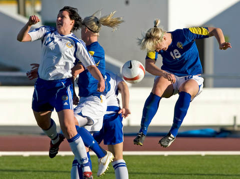 Nilla Fischer, Sverige