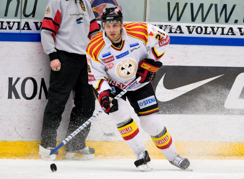 Pavel Brendl, Brynäs