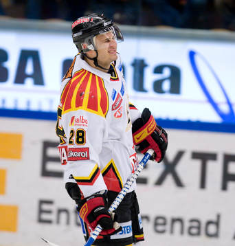 Pavel Brendl, Brynäs