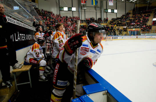 Depp Brynäs, Ove Molin och Daniel Sperrle, Målvakt