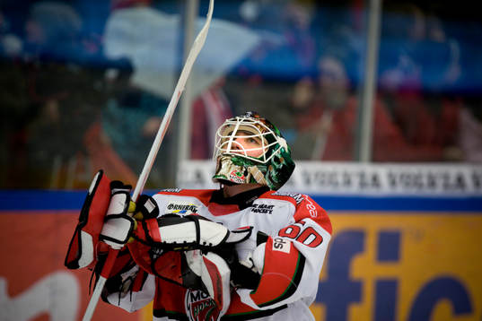 Karol Krizan, Målvakt Modo