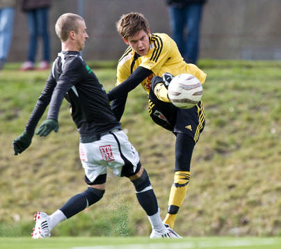 Simon Larsson, inlägg