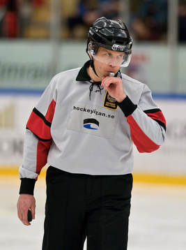 Ulf Rönnmark, domare