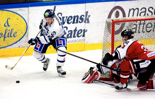 Roman Vopat, Leksand