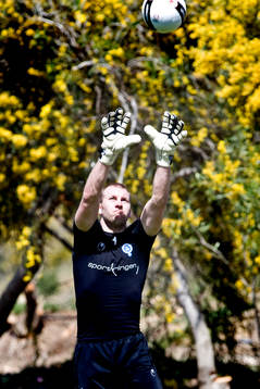 Henrik Gustavsson, Målvakt