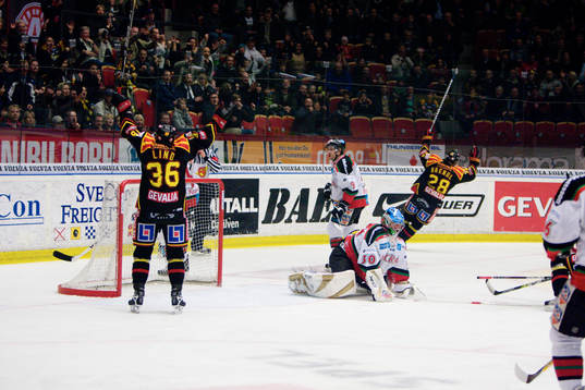 Pavel Brendl, Brynäs gör mål