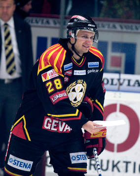 Pavel Brendl, Brynäs