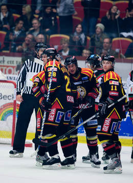Jubel Pavel Brendl, Brynäs