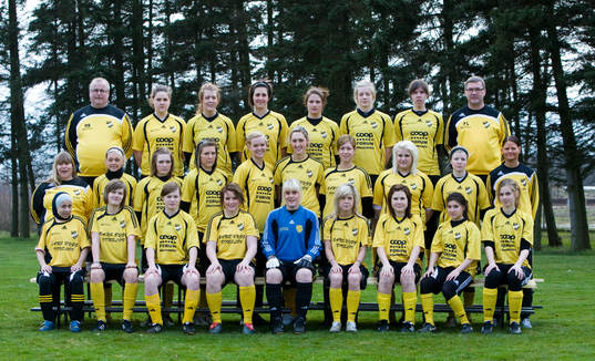 IFK Hässleholm