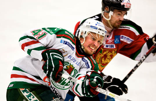 Martin Johansson, Rögle