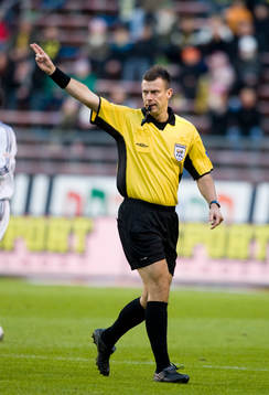 Daniel Stålhammar, Domare