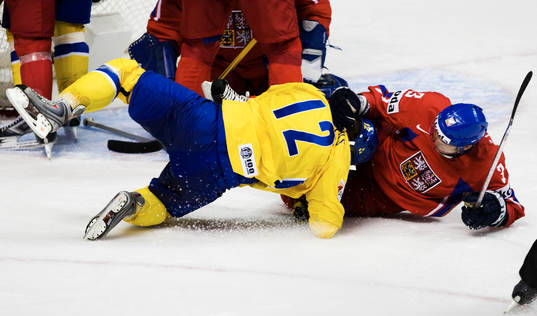 Karl Fabricius trycks ner av Marek Zidlicky