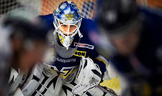 Stefan Liv, målvakt