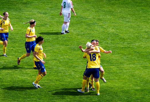 Nilla Fischer, Sverige har skjutit in ett långskott i