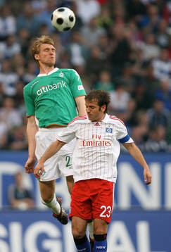Per Mertesacker, Rafael van der Vaart