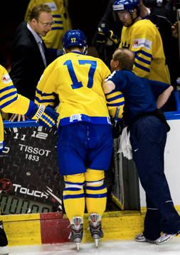 Michael Holmqvist, skada